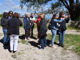 Turismo lento &raquo; tour Santa Maria del Bosco